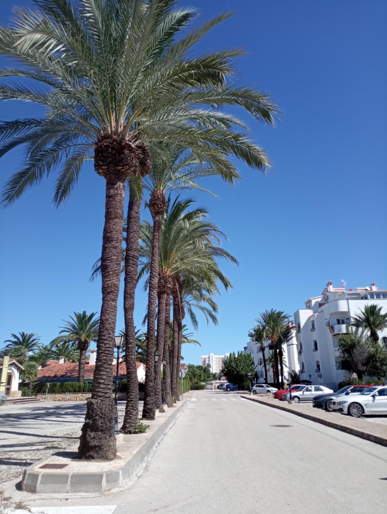 Alojamiento Con Piscina Y Chiringuito Denia Exterior photo